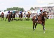 frankel-pml-00188471