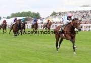 frankel-pml-00188471