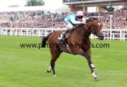 frankel-pml-00188474
