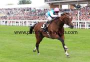 frankel-pml-00188474