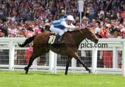 goldikova-pml-00123602