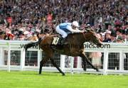 goldikova-pml-00123605