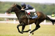 yeats-pml-0094487