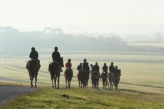 21 April 2015;  The Curragh gallops.  © Peter Mooney, 59 Upper George's Street, Dun Laoghaire, Co. Dublin A96 H2R3, Ireland.  Tel:  00 353 (0)86 2589298
