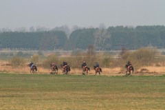 21 April 2015;  The Curragh gallops.  © Peter Mooney, 59 Upper George's Street, Dun Laoghaire, Co. Dublin A96 H2R3, Ireland.  Tel:  00 353 (0)86 2589298