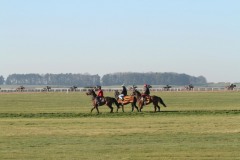 21 April 2015;  The Curragh gallops.  © Peter Mooney, 59 Upper George's Street, Dun Laoghaire, Co. Dublin A96 H2R3, Ireland.  Tel:  00 353 (0)86 2589298