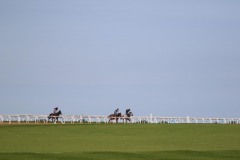 19 July 2016;    The Curragh gallops.   © Peter Mooney, 59 Upper George's Street, Dun Laoghaire, Co. Dublin A96 H2R3, Ireland.  Tel:  00 353 (0)86 2589298