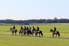 19 July 2016;    The Curragh gallops.   © Peter Mooney, 59 Upper George's Street, Dun Laoghaire, Co. Dublin A96 H2R3, Ireland.  Tel:  00 353 (0)86 2589298