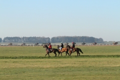21 April 2015;  The Curragh gallops.  © Peter Mooney, 59 Upper George's Street, Dun Laoghaire, Co. Dublin A96 H2R3, Ireland.  Tel:  00 353 (0)86 2589298