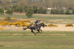 21 April 2015;  The Curragh gallops.  © Peter Mooney, 59 Upper George's Street, Dun Laoghaire, Co. Dublin A96 H2R3, Ireland.  Tel:  00 353 (0)86 2589298