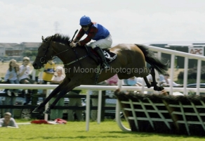 Farmer Brown-PML 0044986.JPG