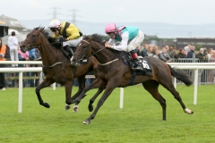 Zaminast-PML 00129098.JPG