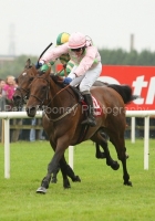 Blazing Tempo-PML 00161923