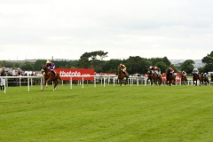 Endless Intrigue-PML 00129438.JPG