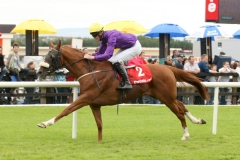 Endless Intrigue-PML 00129444.JPG