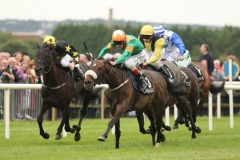 Anam Alta-PML 00162038