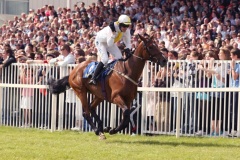 Ballyholland-PML 0097296.JPG