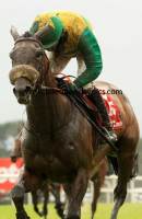 victrix-gale-pml-00133665