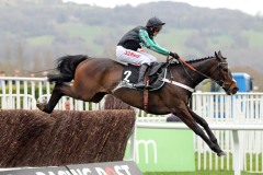 Altior 140317PML0390.jpg