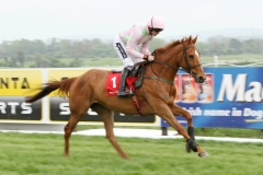 Annie Power 030514PML1181.jpg