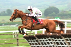 Annie Power 030514PML1189.jpg