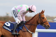 Annie Power 070416PML0340.jpg