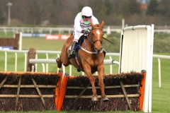 Annie Power 070416PML0365.jpg