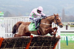 Annie Power 150316PML0594.jpg