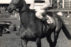 Arkle.jpg