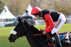 Big Buck's PML00183014.jpg