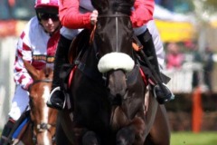 Big Buck's PML00183028.jpg