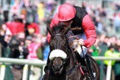 Big Buck's PML00183067.jpg