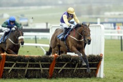 Brave Inca 5A7C1524.jpg