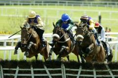 Brave Inca PMOO319666.jpg