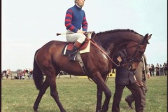 Brown Lad 79L 411.jpg