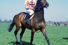 Captain Christy 74A 521.jpg