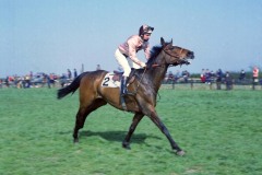 Captain Christy 74A 562.jpg