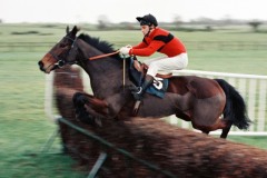 Dawn Run 85S 604.jpg