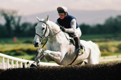 Desert Orchid-90B 686.jpg