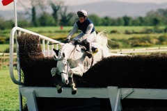 Desert Orchid-90B 693.jpg