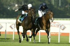 Dylan Thomas-PML0022668.jpg