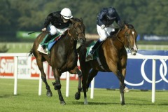 Dylan Thomas-PML0022674.jpg