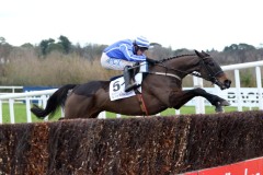 Energumine 060221PML0218.jpg