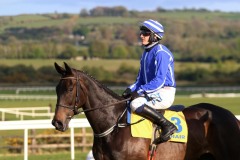 Energumine 290421PML0575.jpg