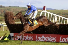 Energumine 290421PML0587.jpg