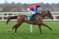 Facile Vega 050222PML0597.jpg