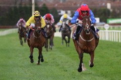 Facile Vega 261221PML0325.jpg