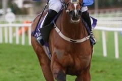 Facile Vega 261221PML0337.jpg