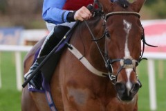 Facile Vega 261221PML0343.jpg