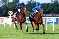 FANTASTIC LIGHT  01X 722.jpg